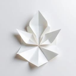 Origami illustration for rule 1