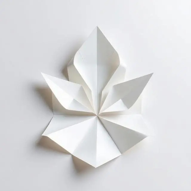 Origami illustration for rule 1